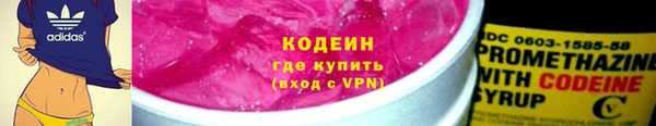 дживик Инта