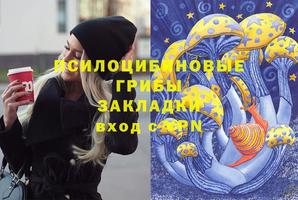 спиды Нефтегорск